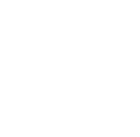 Climate emergency Blueprint