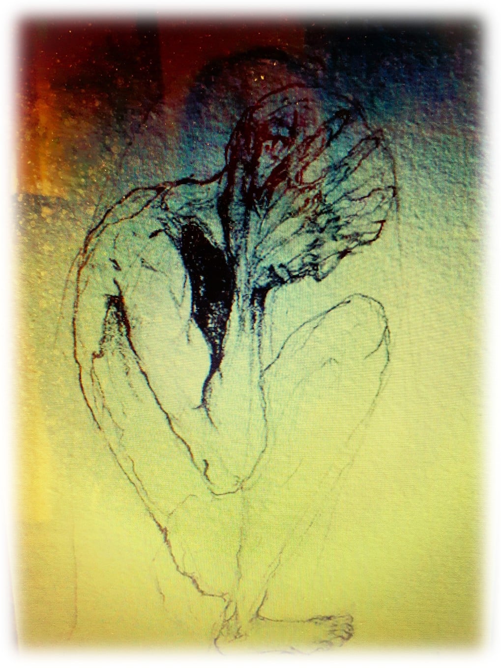 The Planetary Crisis – we have exceeded the 1.5°C limit